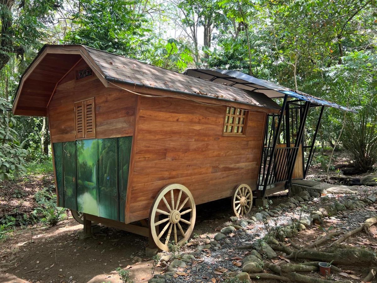 מלון פאבונס Gypsy Wagons מראה חיצוני תמונה